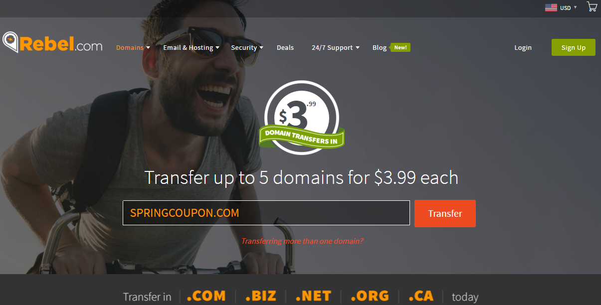 Transfer domain 3.99 usd to Rebel