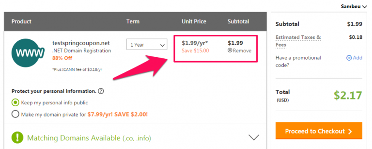 Bigrock coupon code 99